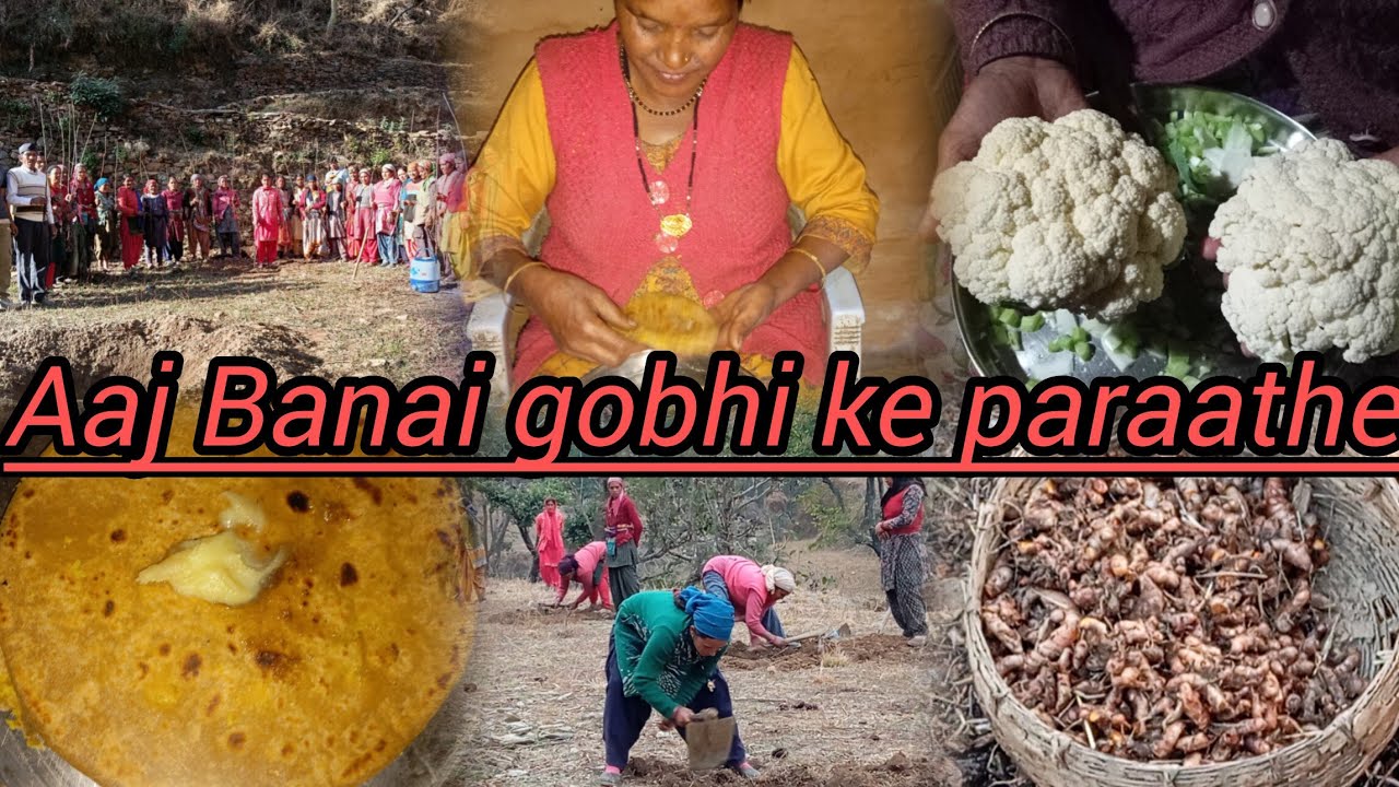 पहाडों में गाँव की खुशहाल जिंदगी।village Lifestyle Vlog