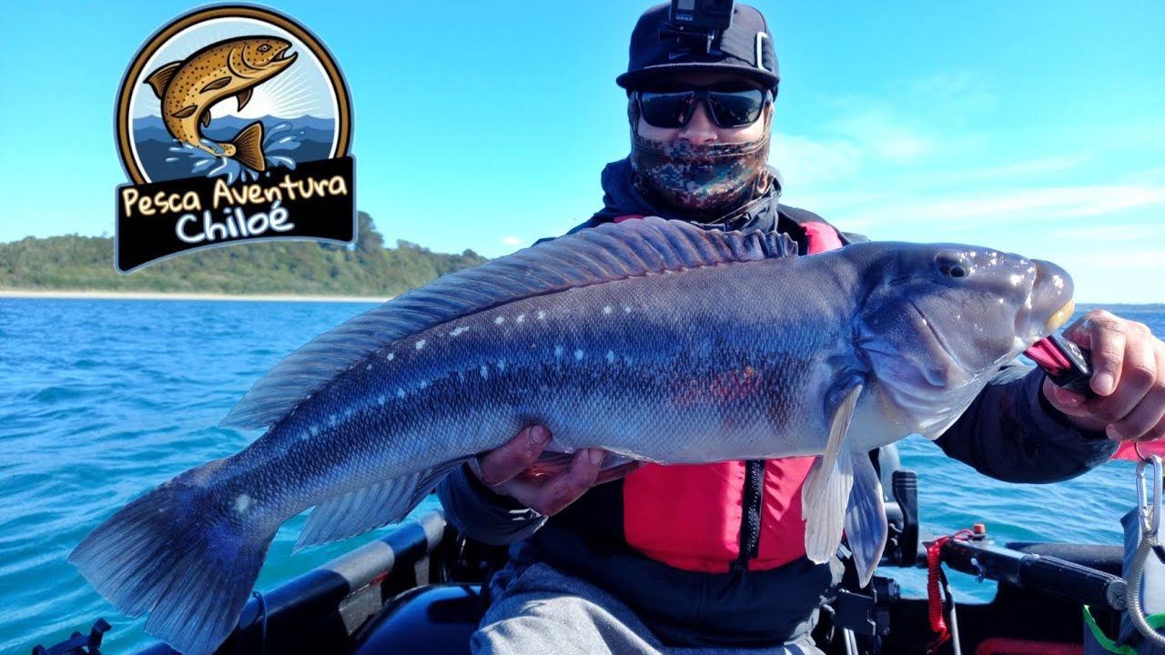 Pesca Slow Jigging De Rollizos XL Y Chancharros Embarcado