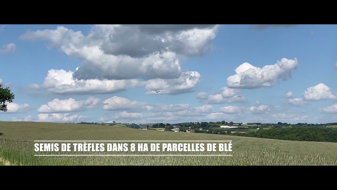 SEMIS AVEYRON