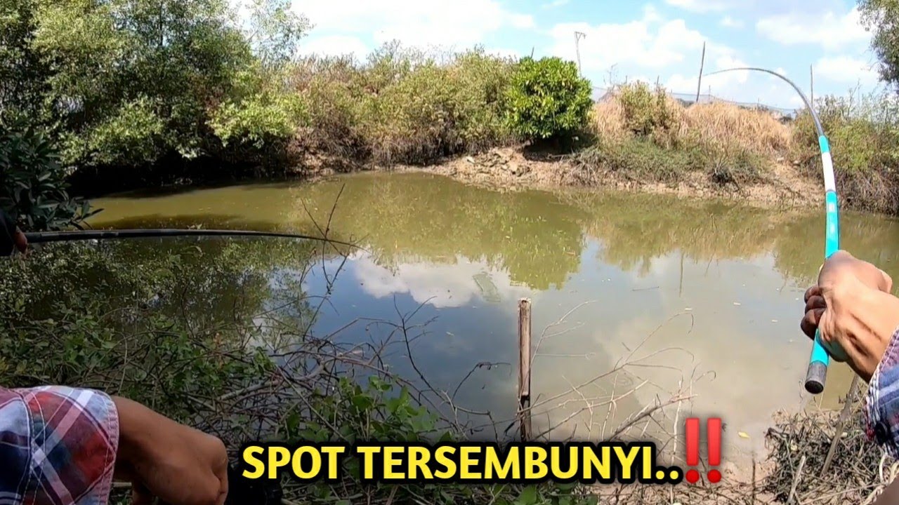 DAPAT SPOT BARU_mancing ikan belanak di muara kecil_172
