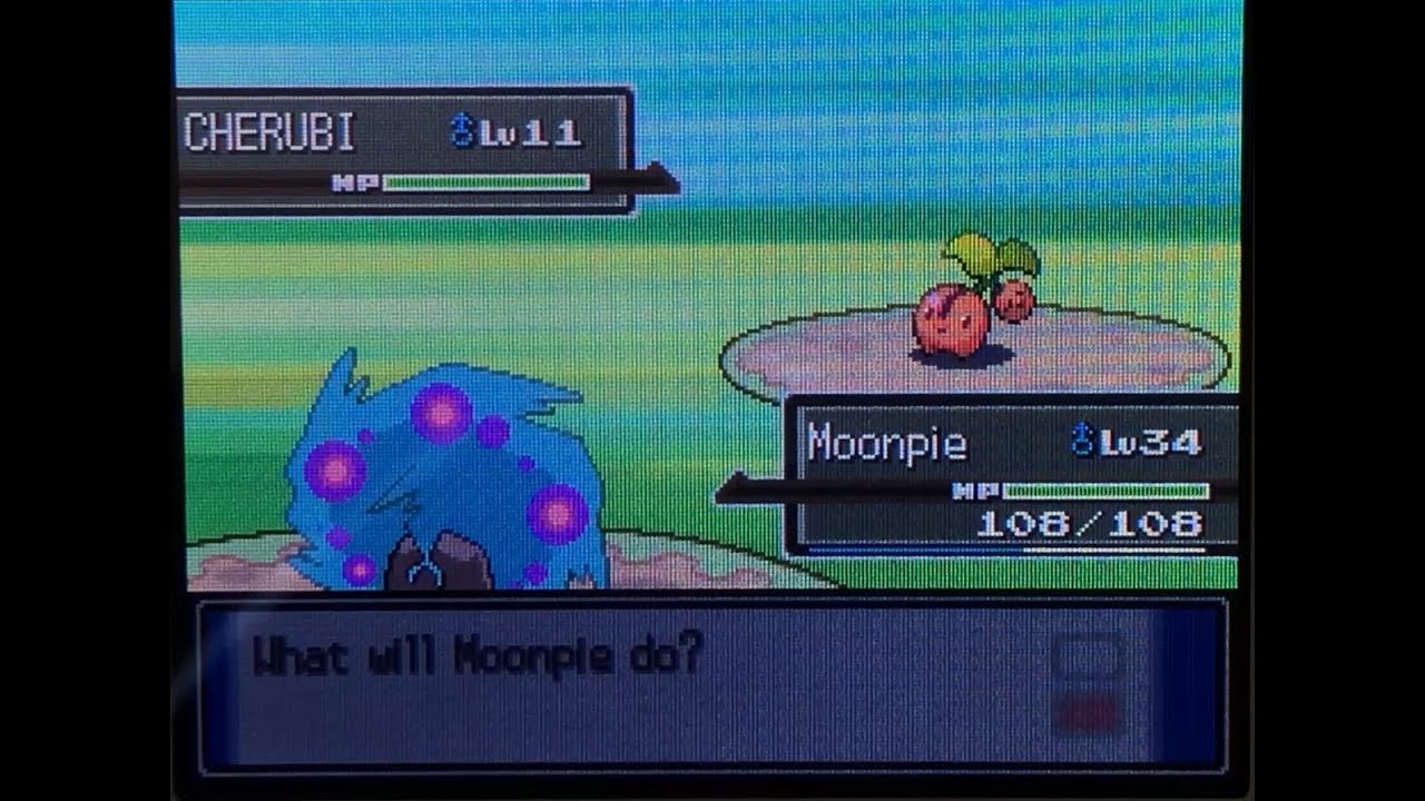 (DTQ #5) Live! Shiny Cherubi in Platinum after 4,701 SRs! (+ Evolution)