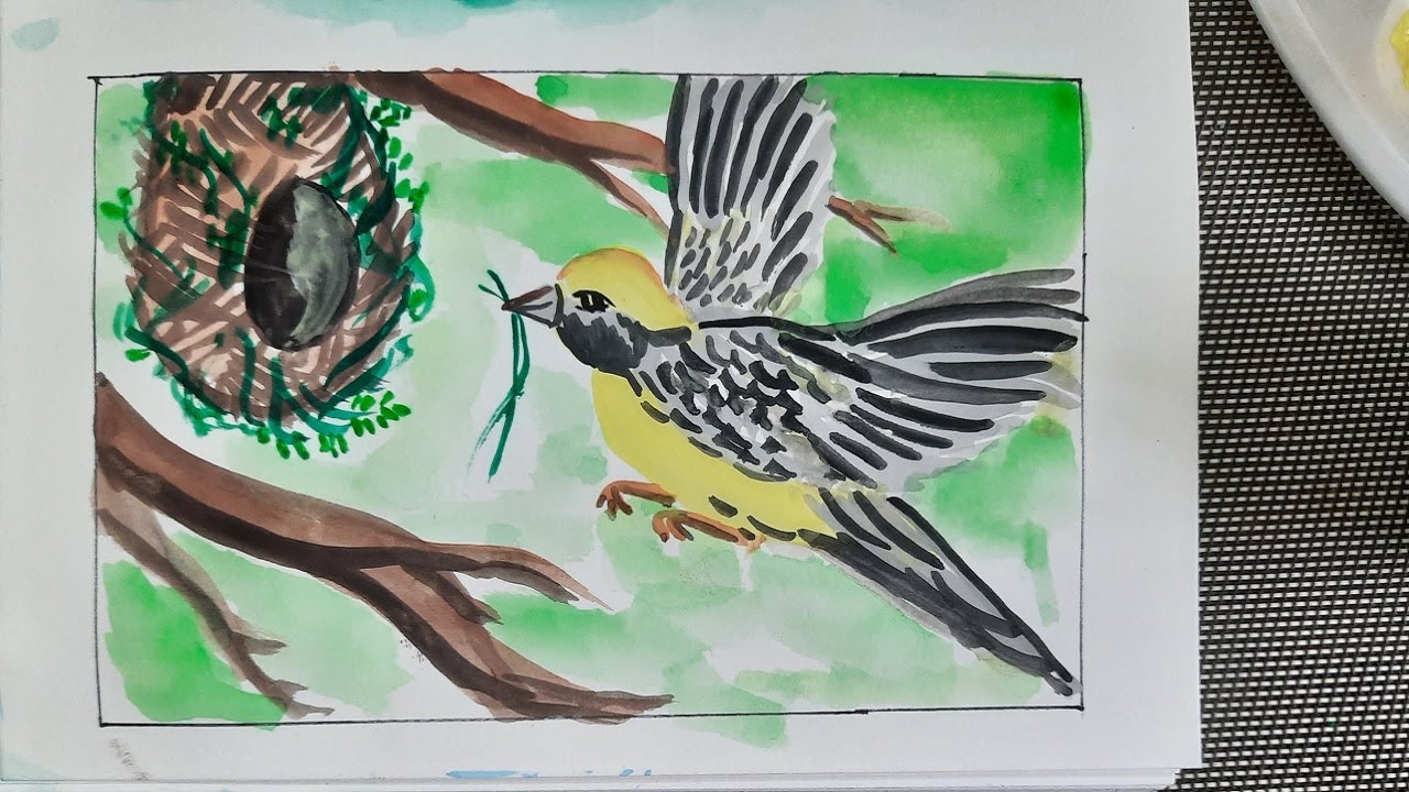 Bird nest drawing | How to draw a nest with Baya weaver bird | Simple watercolor painting tutorial