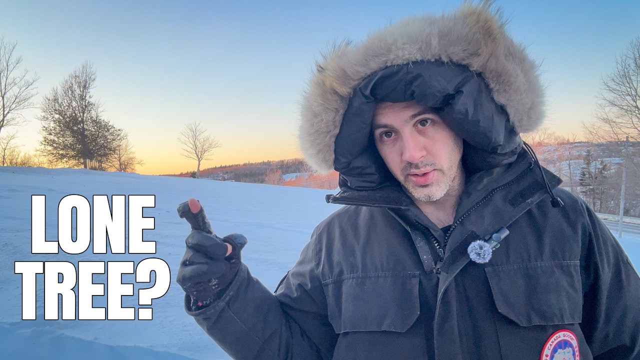 Photographing the Same Tree Through a few Changing Winter Conditions