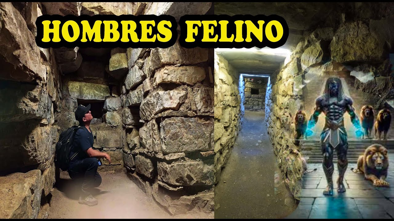 encontramos a los hombres felino en chavin Perú