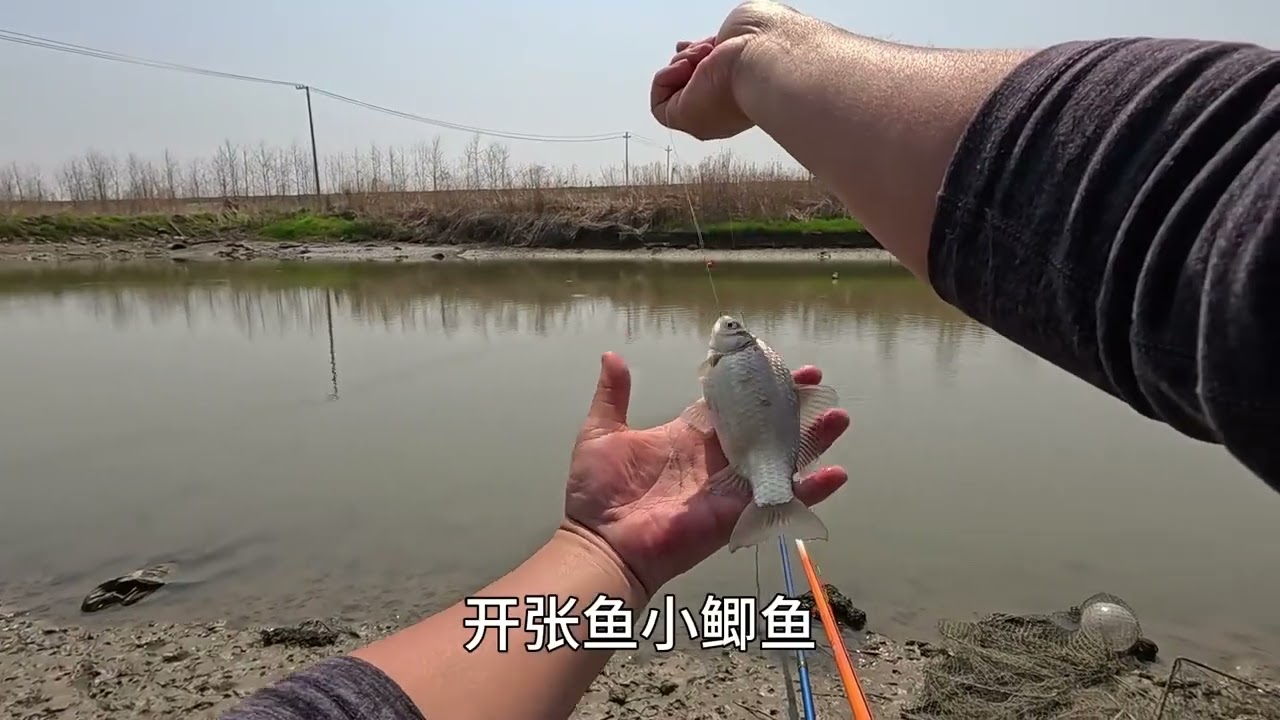 这里野钓，从来没有让我失望过！ #钓鱼王地狱猫 #螺纹钢综合