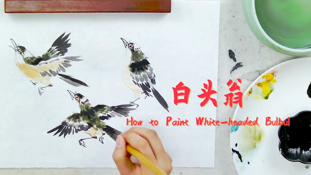 【国画】白头翁详细教程 How to Paint White-headed Bulbul - Ink Wash Painting