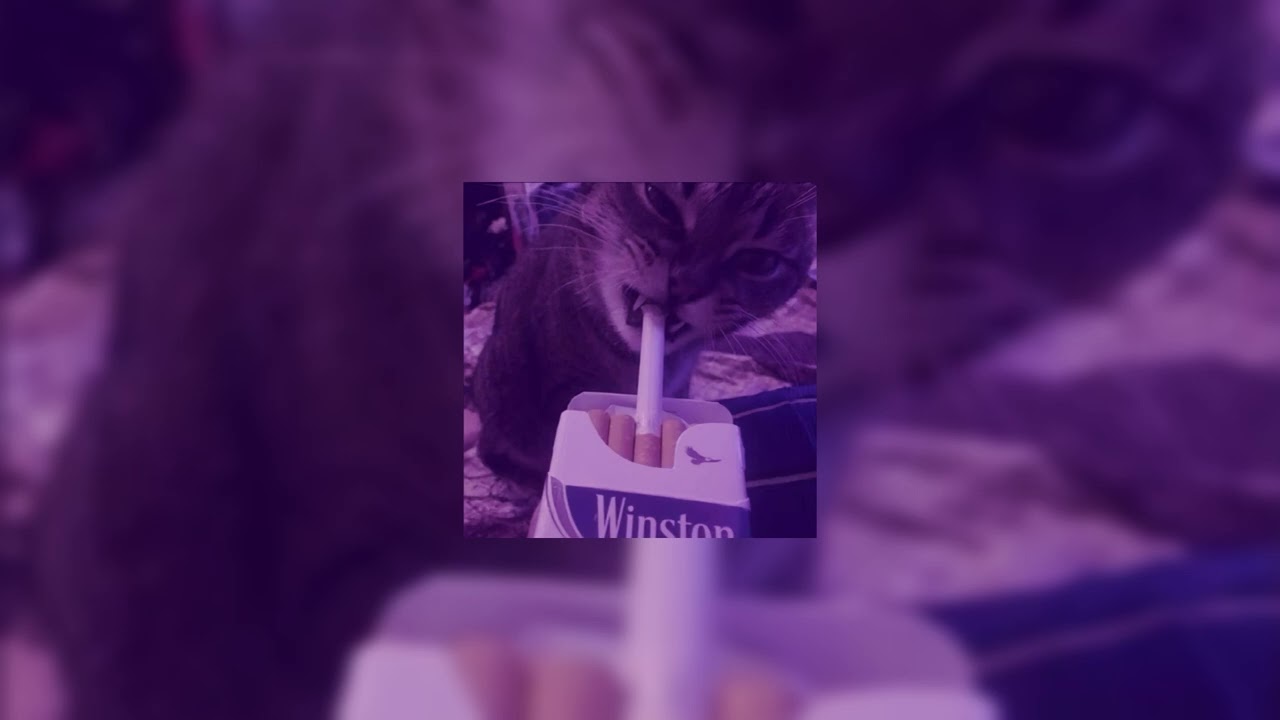 [ Beat ] sapphire - perpetual (slowed)