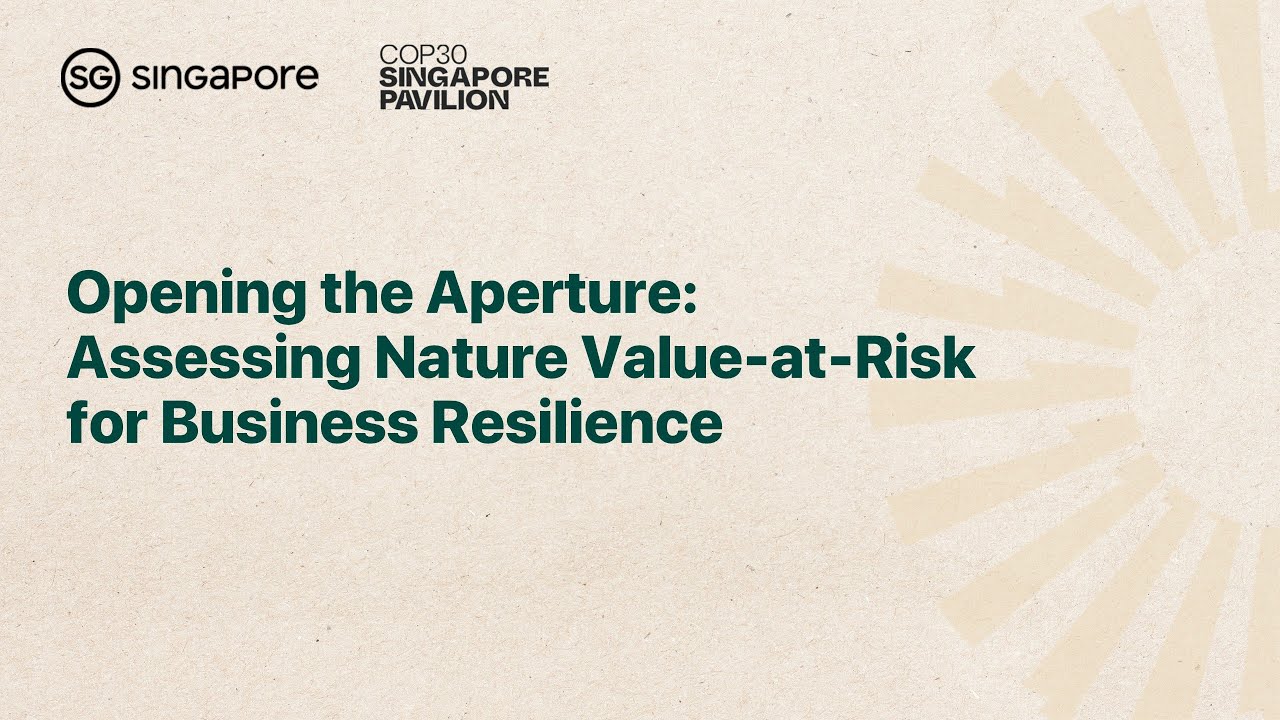 [COP30] Opening the Aperture: Assessing Nature Value-at-Risk for Business Resilience