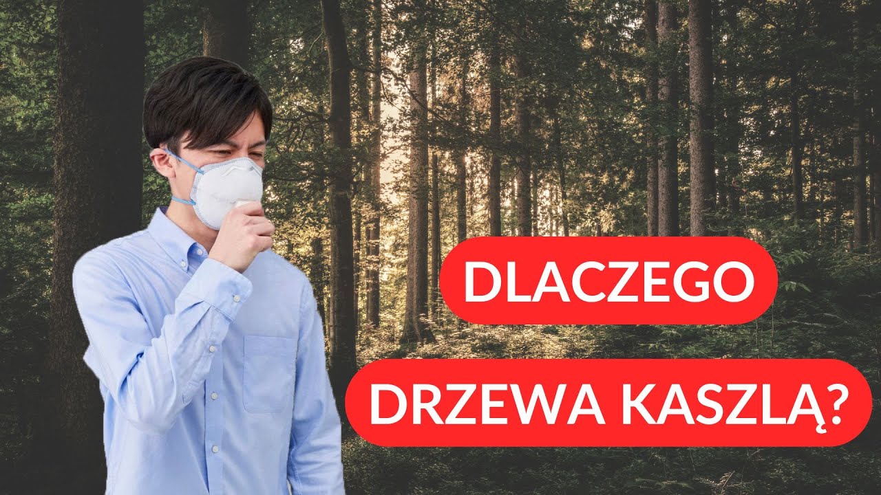 Czy KASZLĄCE DRZEWA zagrażają przyszłości naszej planety?