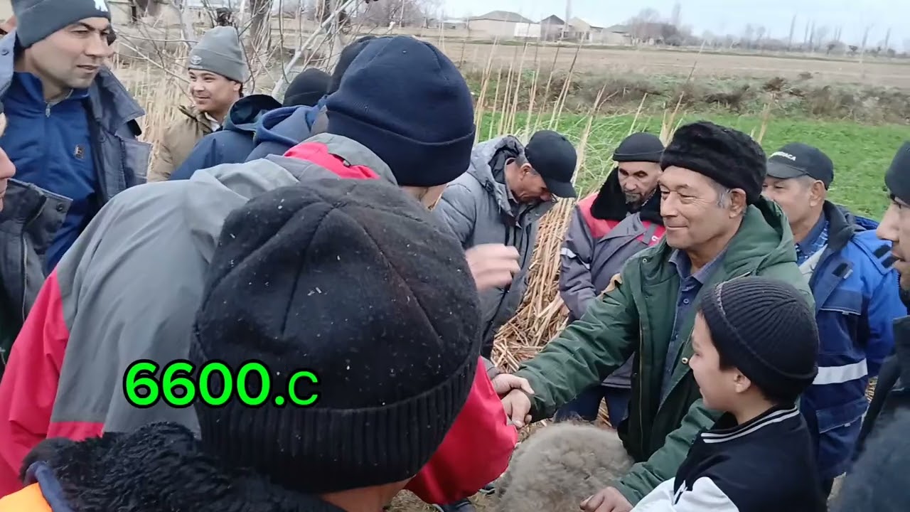 МОЛБОЗОРИ ФАРМОНКУРГОН 🫡👍🐑🐂
