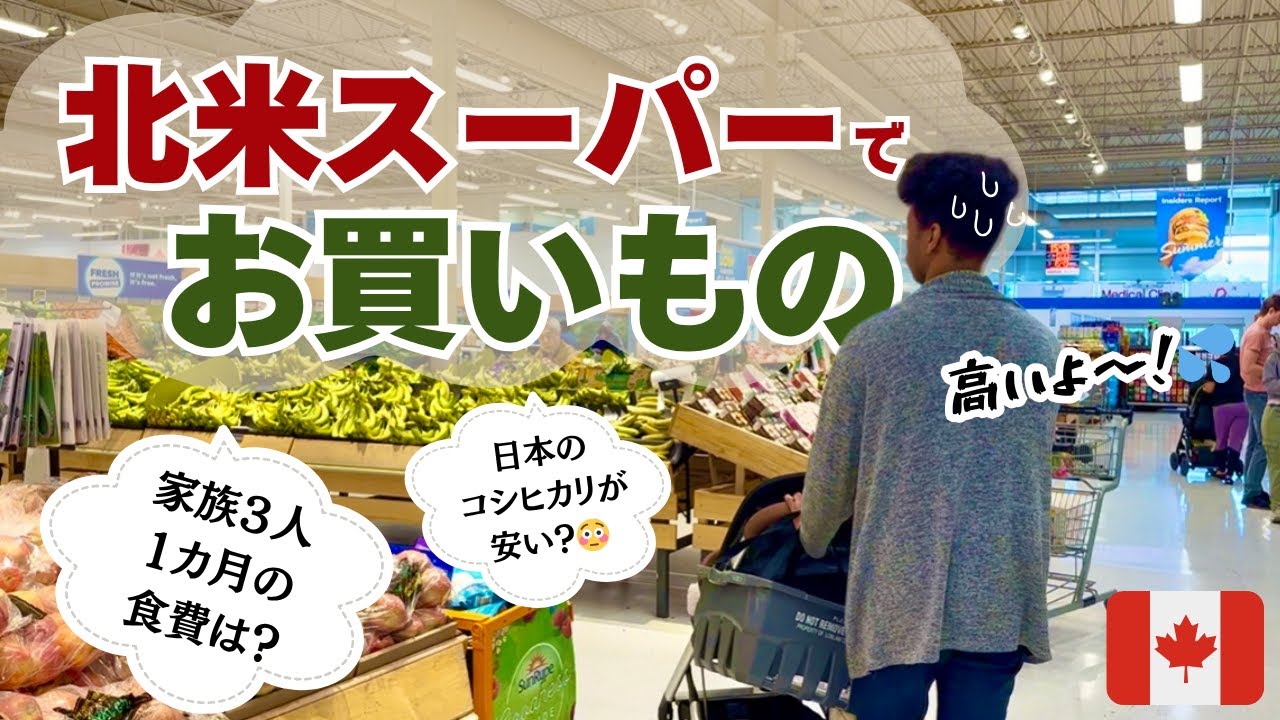 【カナダ生活vlog】北米のスーパーで物価大調査！ / 日本の米が安いよ / 節約方法もご紹介