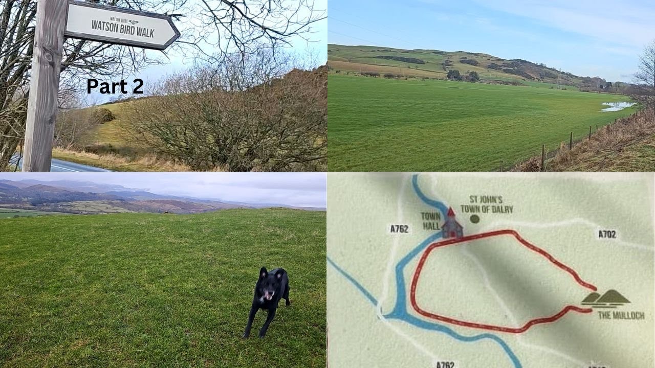 Watson Bird Walk - Part 2 - Mulloch Hill Full walk