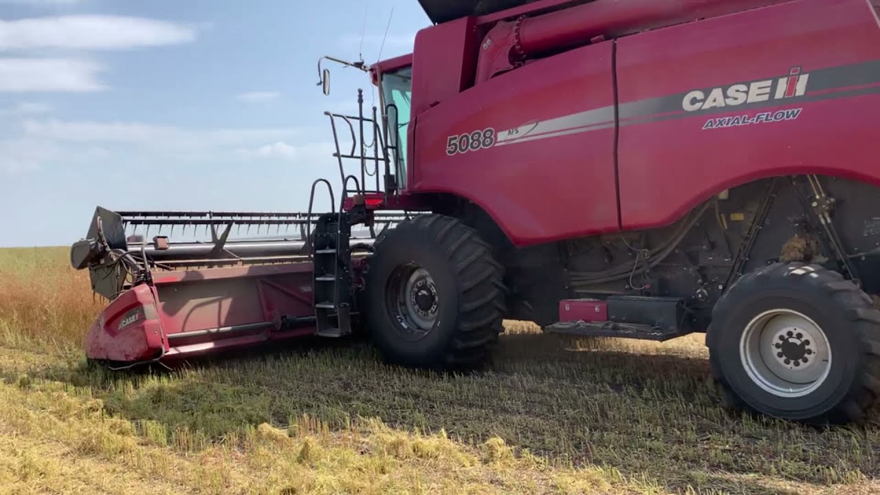 Лен No-Till - уборка в Агро-Союзе