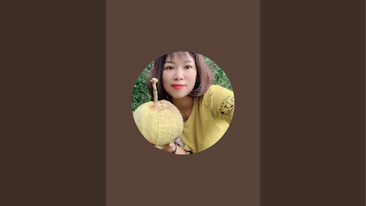 XƯỞNG BAO BỌC TRÁI CÂY. TRƯỜNG THẢO  đang phát trực tiếp!