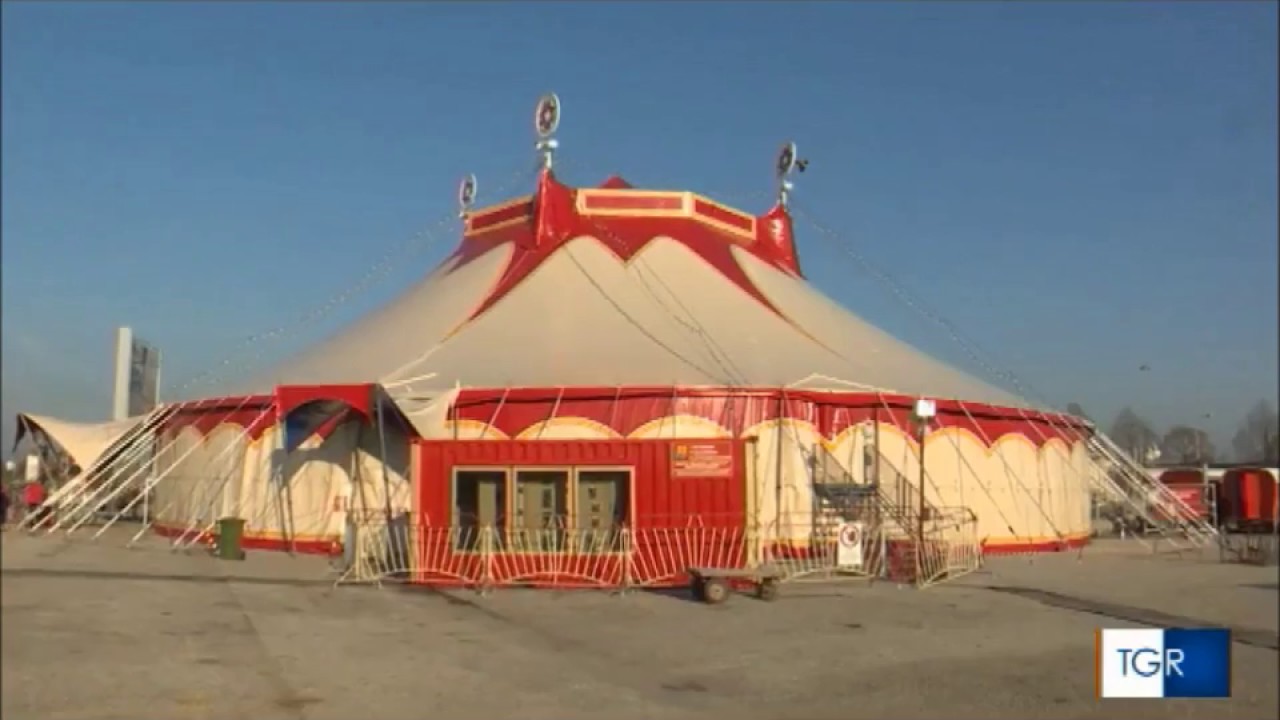 circusfans.it | Il Circo Daniele e Flavio Togni al TGR Veneto