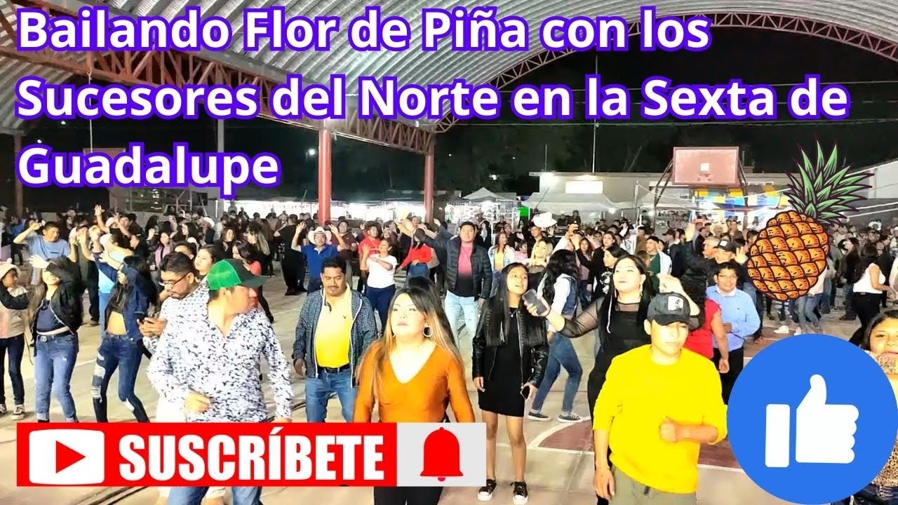 Así se baila la flor de piña con los Sucesores del Norte en la Sexta d Guadalupe, Baile d feria 2024