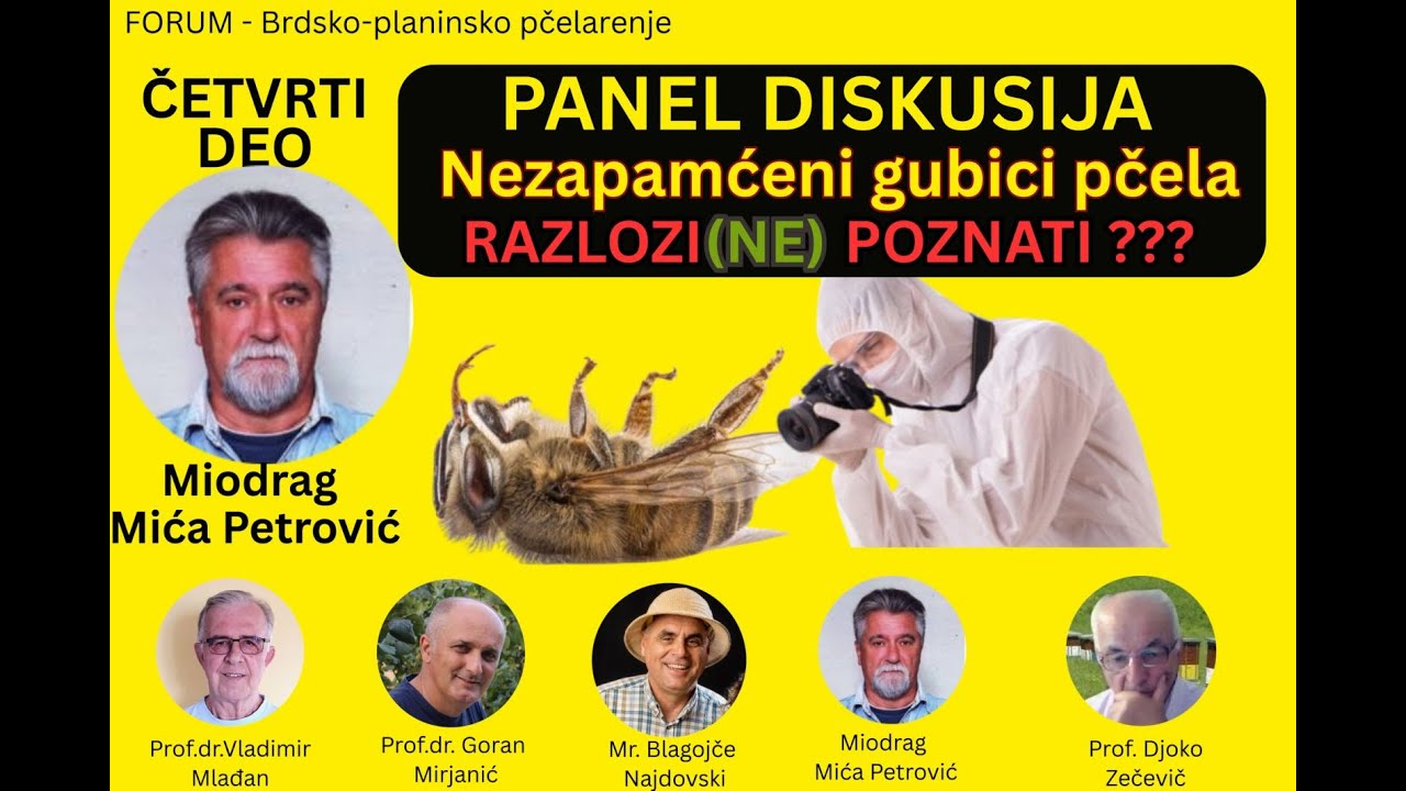 Miodrag Mićo Petrović Panel diskusija IV