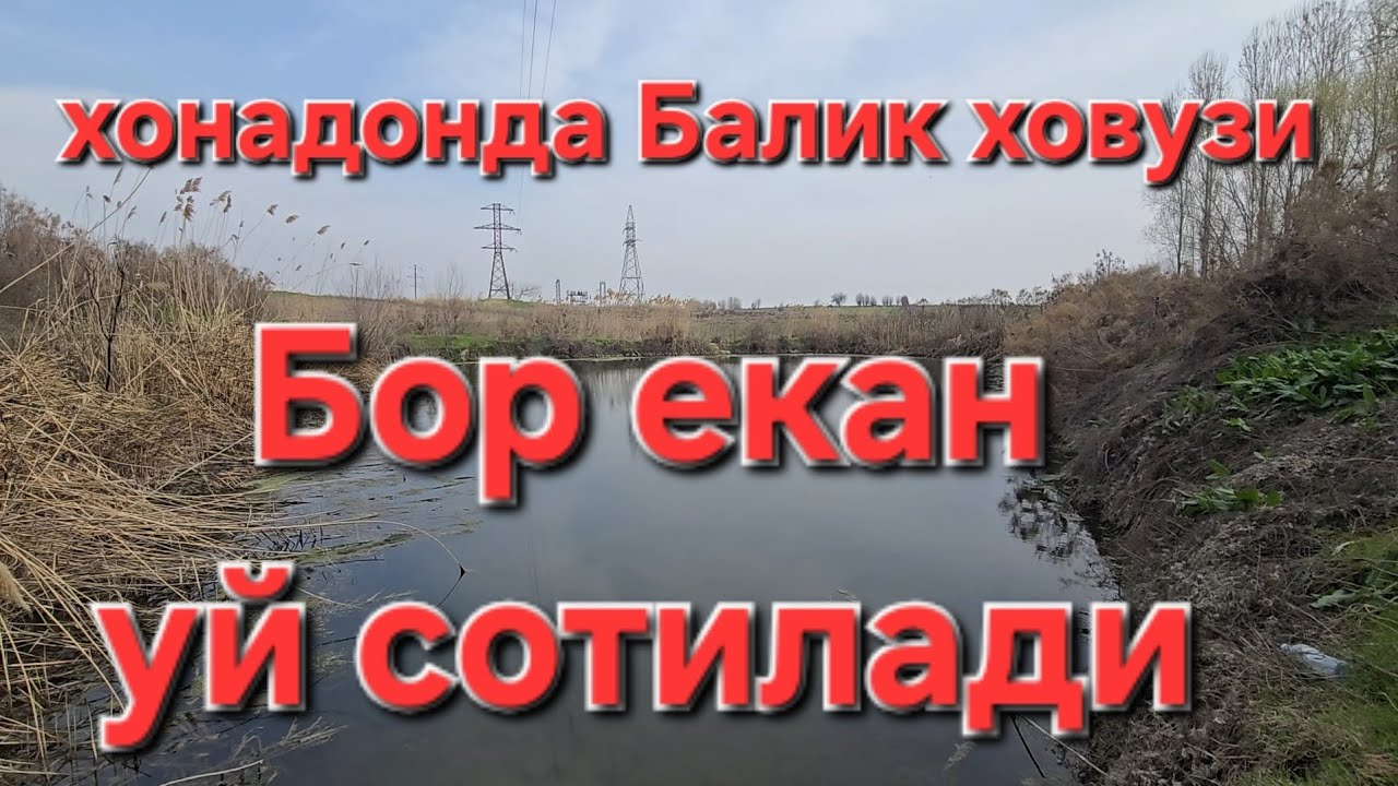 БАЛИК КОЛИ БОР УЙ СОТИЛАДИ 