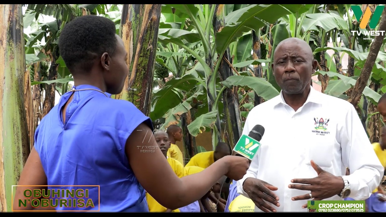 OBUHINGI N'OBURIISA: Nitureeba aha kuhinga orutookye ahari Mbarara Junior School.