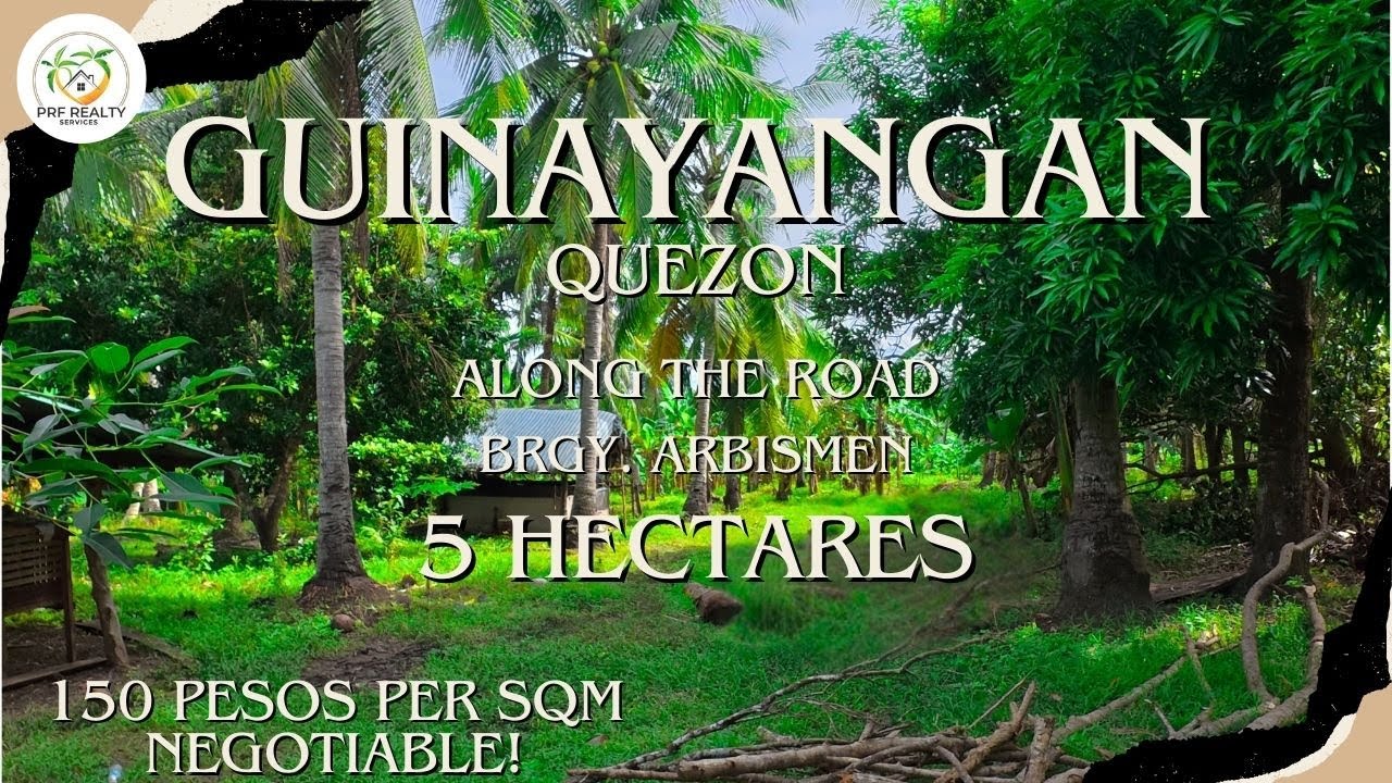 A70 - Property of Guinayangan | 5 Hectares | Full of Fruitbearing Trees