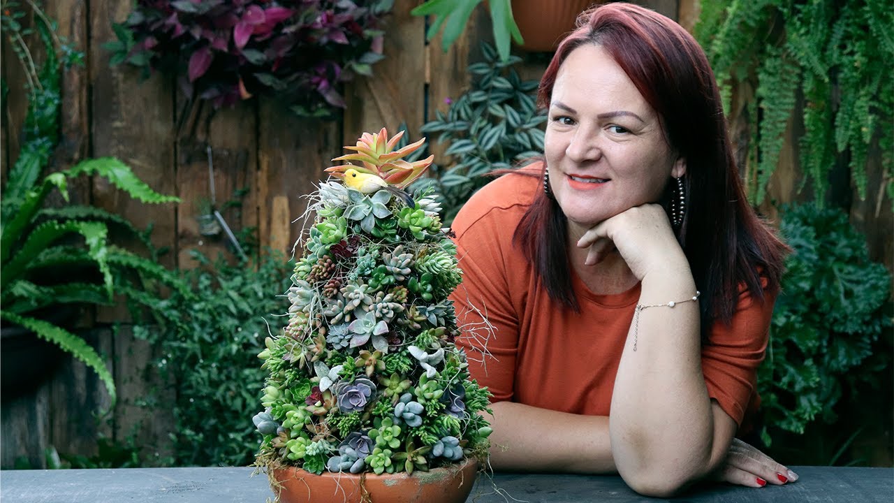 COMO FAZER UM PINHEIRO DE SUCULENTAS.#NATAL  #ÁRVOREDENATAL