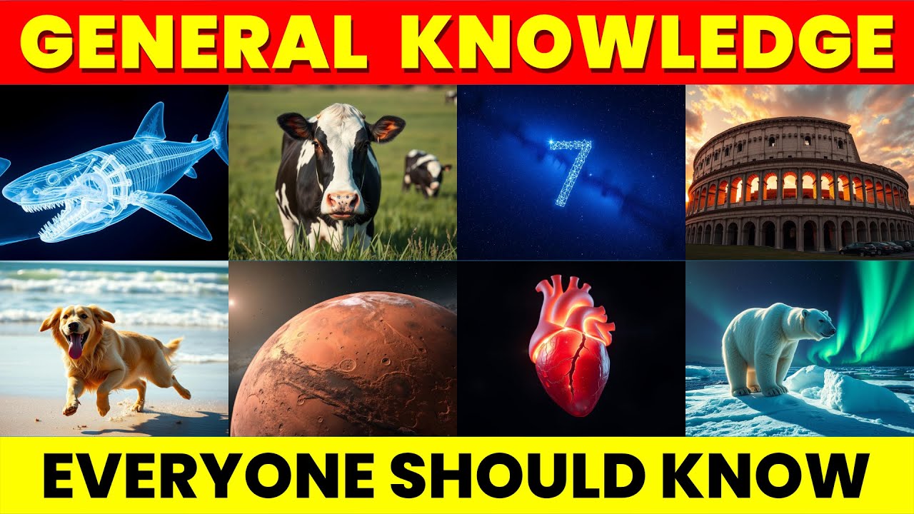General Knowledge Trivia Quiz | 50 Questions | Part 1