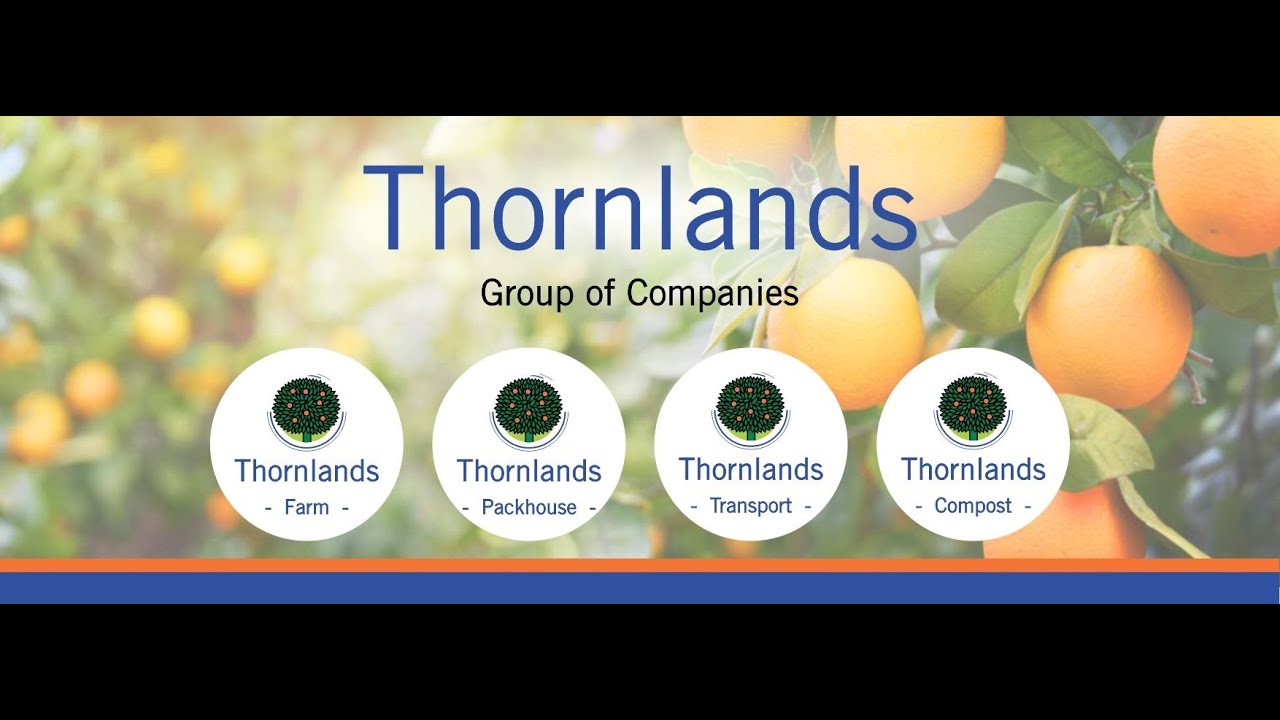 Thornlands  Jerusalema Dance
