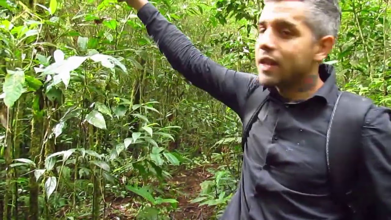 Como se localizar na selva apenas com o sol