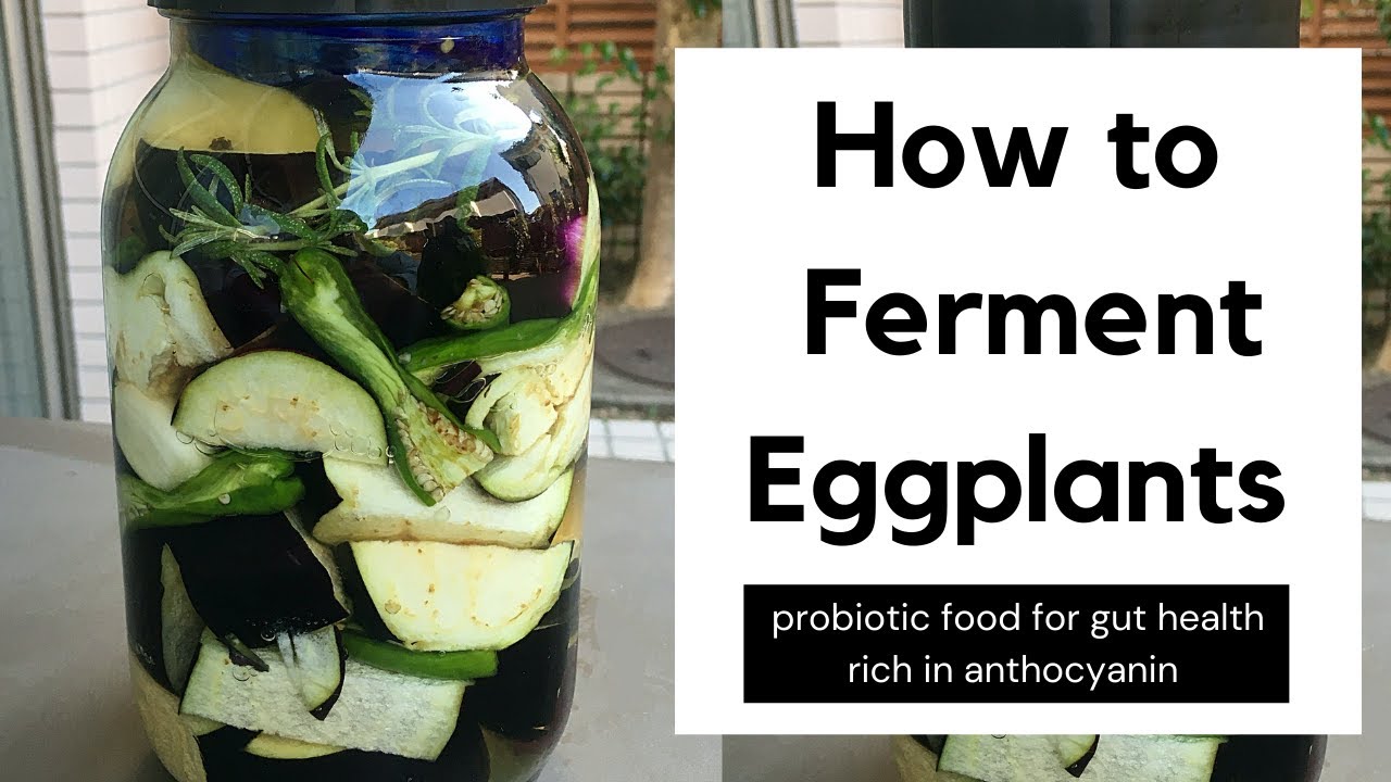 HOW TO FERMENT EGGPLANTS (AUBERGINE) | FERMENT WITH ME