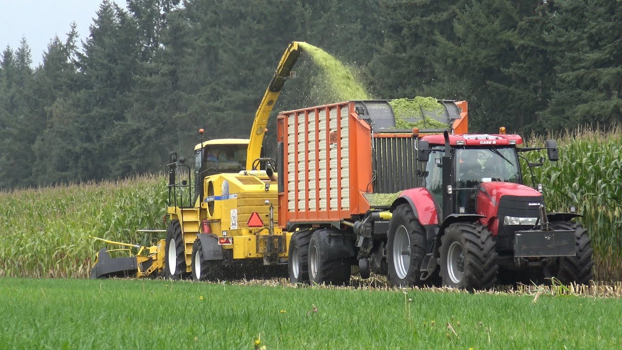Loonbedrijf Zandman met New Holland FX en Case IH aan het mais hakselen (2017)