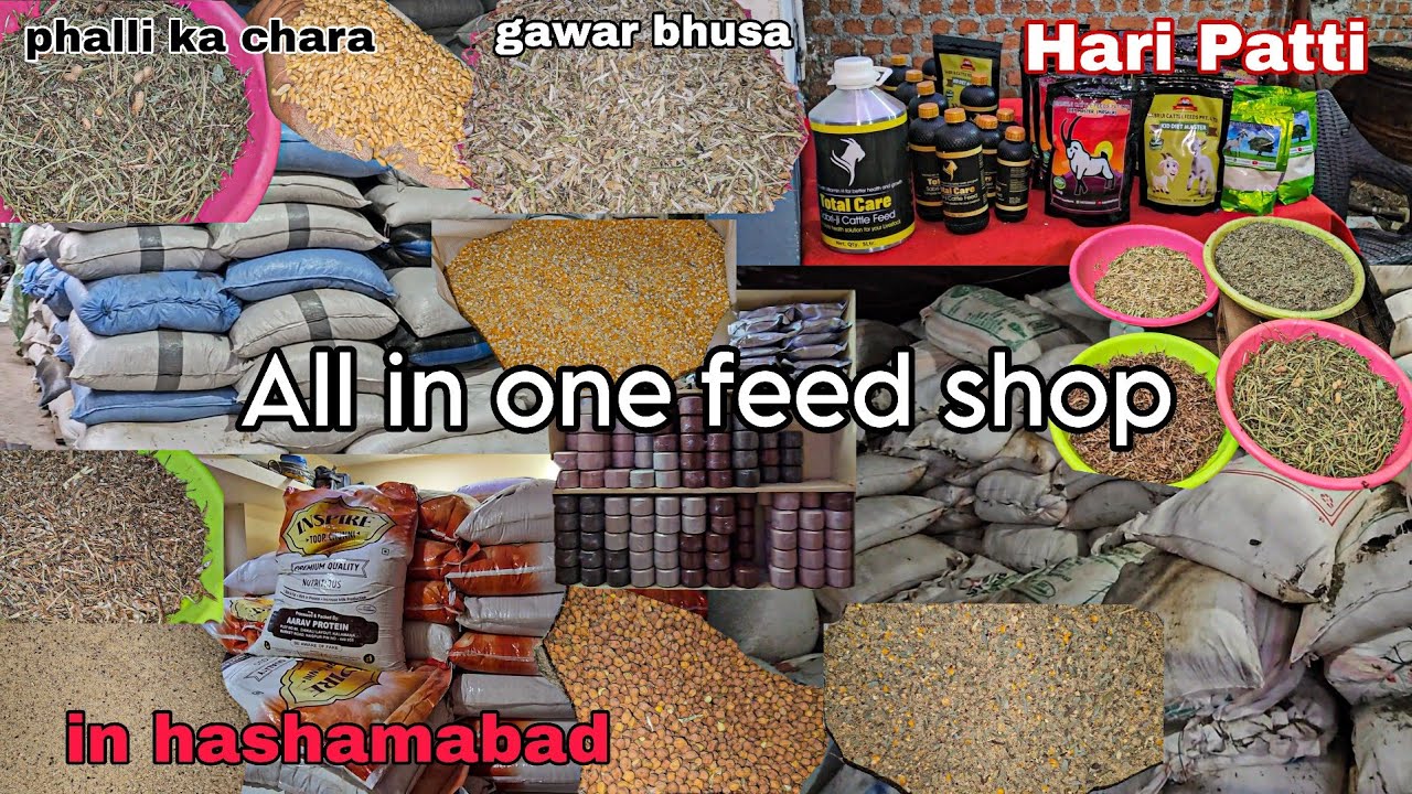 ALL TYPES OF CATTLE FEED | AR FARMS & FEEDS |🤯wholesale and retail😱
