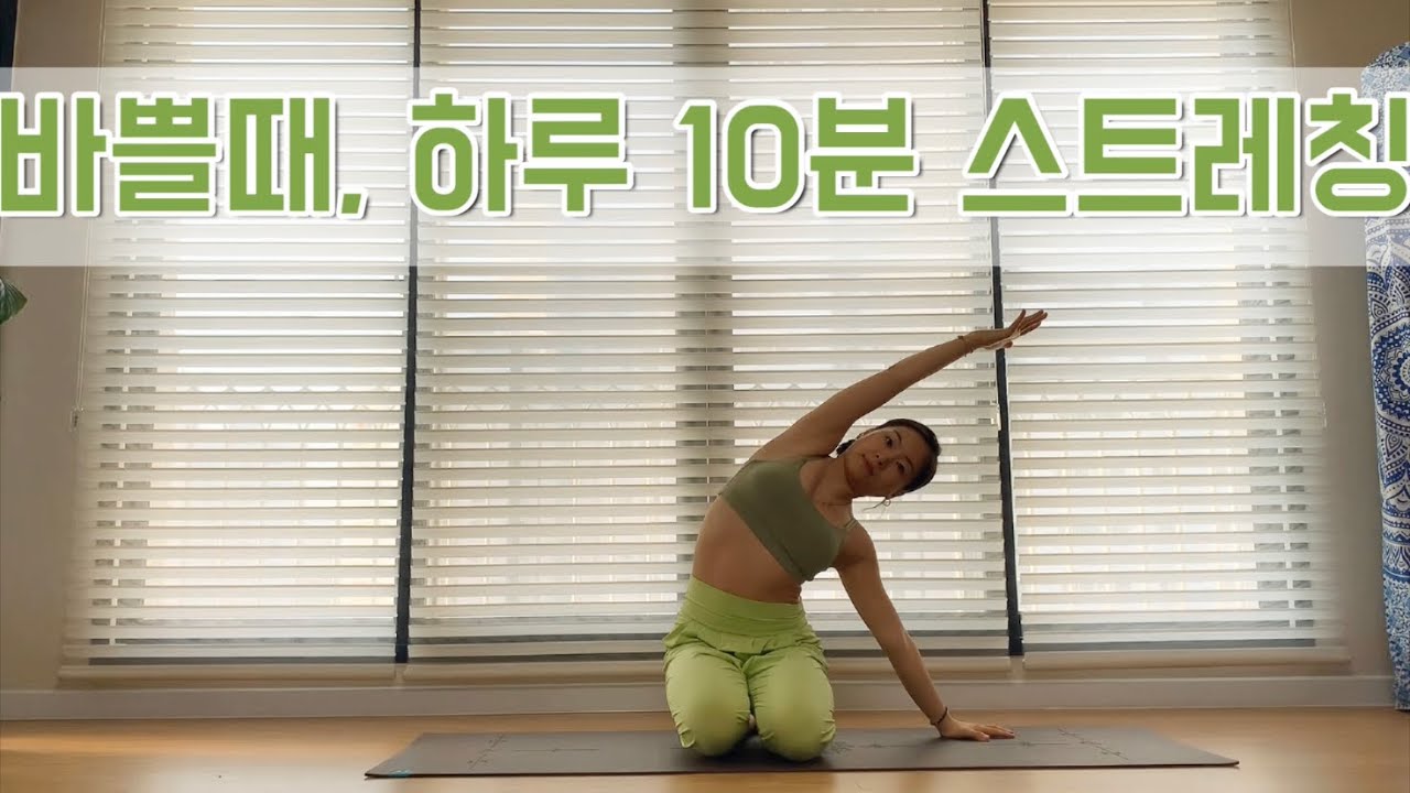 [서리요가#84] 전신스트레칭 / 시간 없을때 하면 좋은 10분 요가 / 직장인요가, 학생요가
