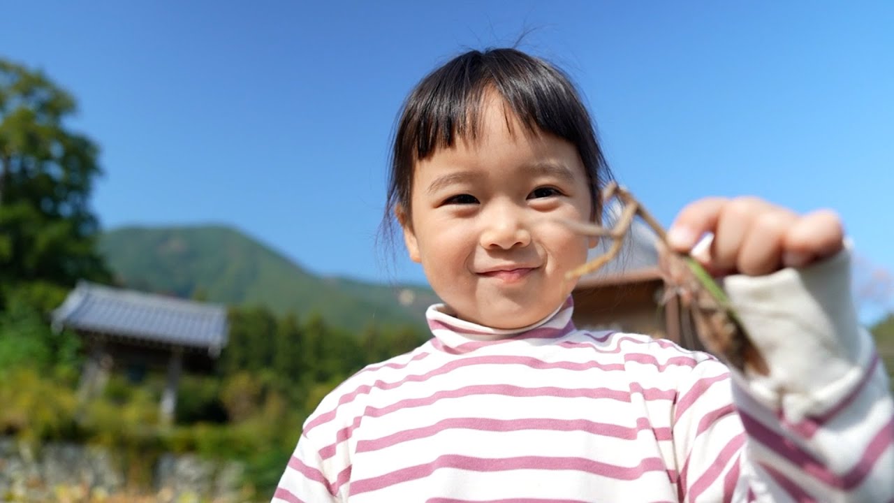 花より虫！！寺からの神社で運気爆発！！毎日が冒険な2歳男と4歳女の休日！！！(※虫が出てくるぞ！)