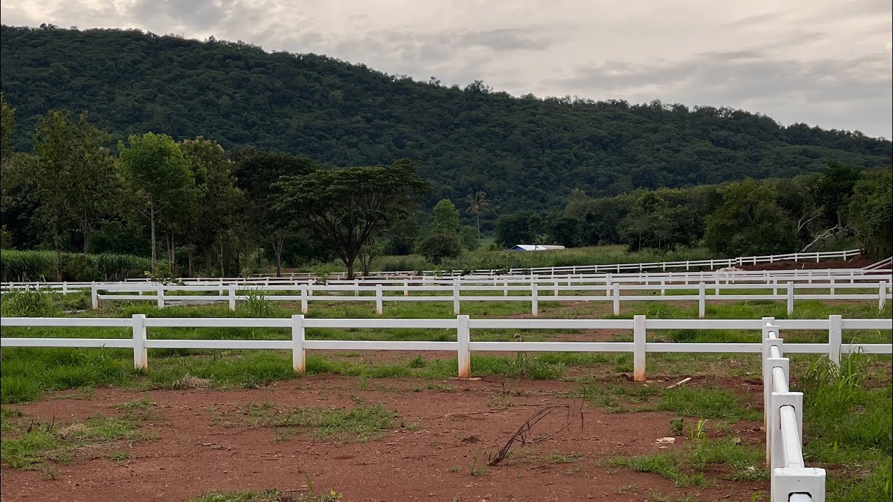 ATLAND KHAOYAI ที่ดินติดเขา เขาใหญ่ แปลงเล็กๆ โฉนดครุฑแดง เริ่มต้นแค่ 1,024,000 บาท
