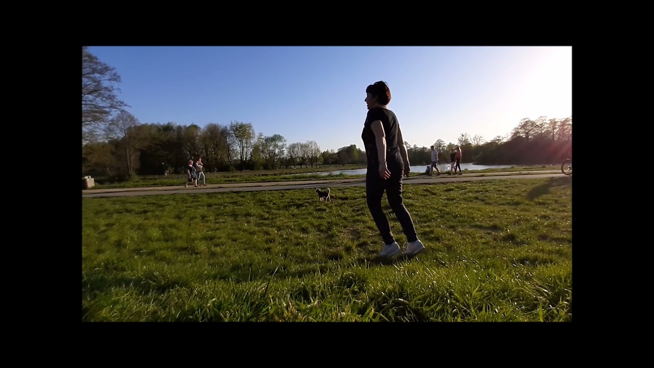 Danser encore Zatańczmy ile sił /słowa piosenki i choreografia: Cesary Cesarz/