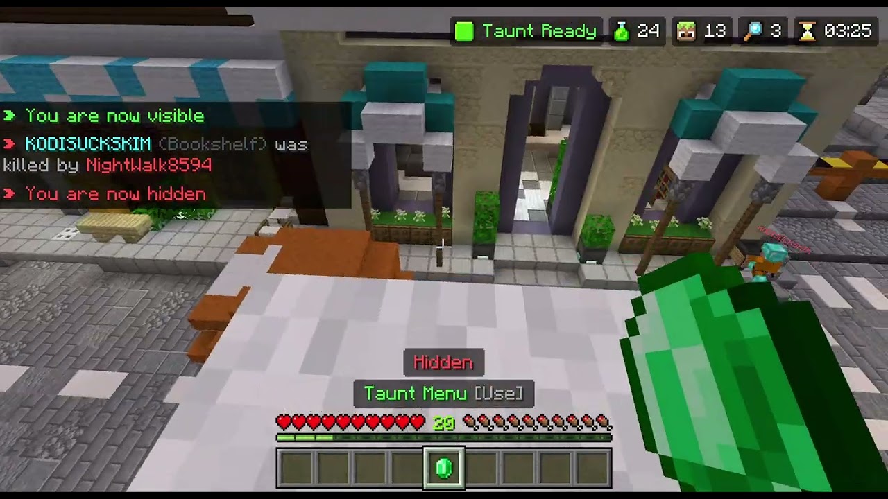 The Best Hiding Spot in The Hive Hide and Seek???