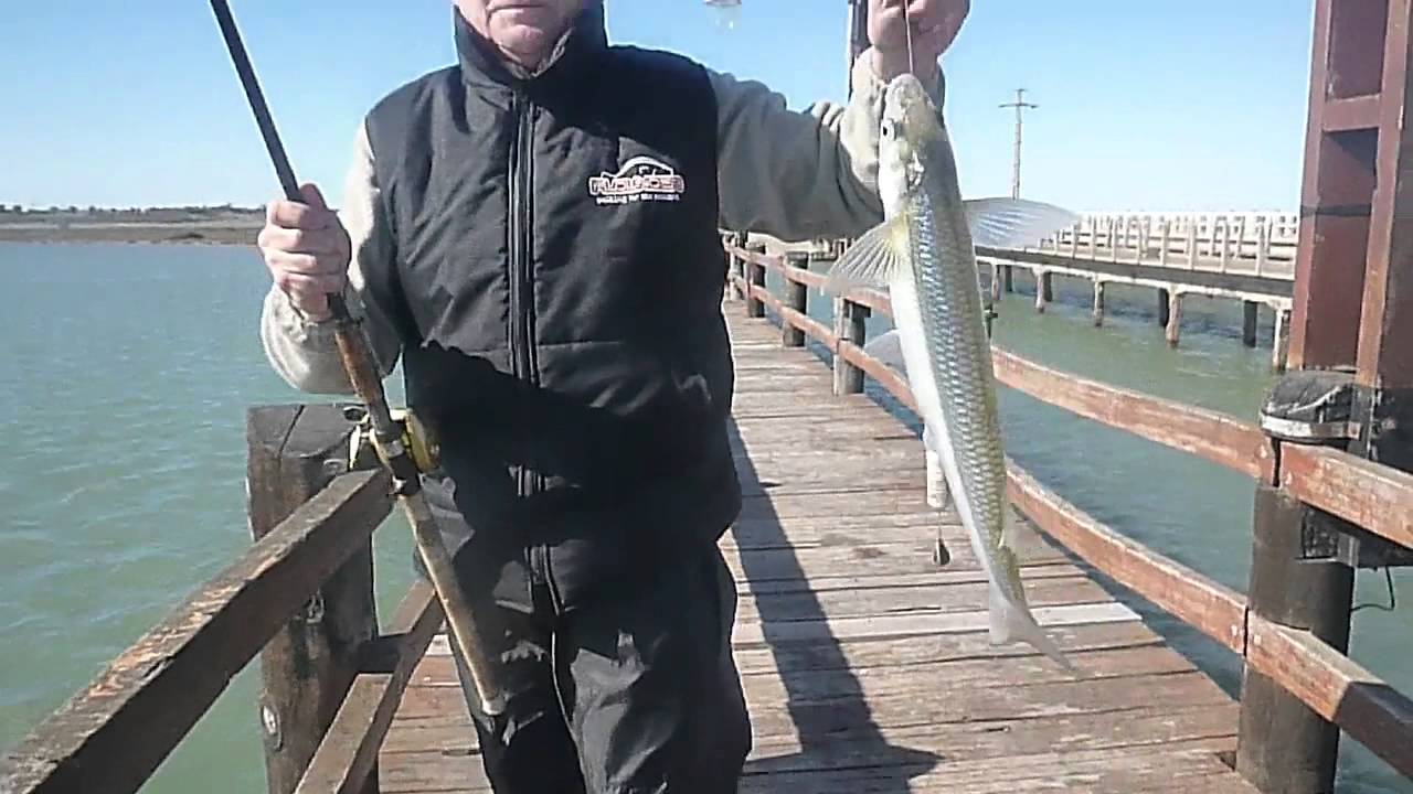 Pesca de Pejerreyes en el Puente Bahia San Blas 11 de Septiembre de 2014