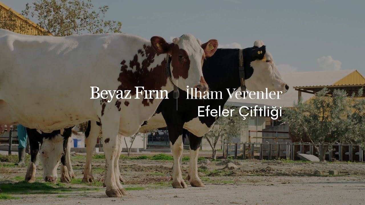Beyaz Fırın | İlham Verenler | Efeler Çiftliği