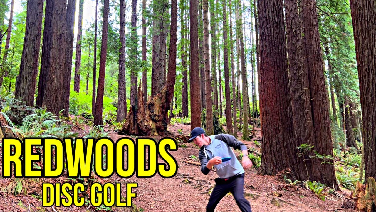 A BUCKET LIST DISC GOLF COURSE!!! (Redwood Curtain)