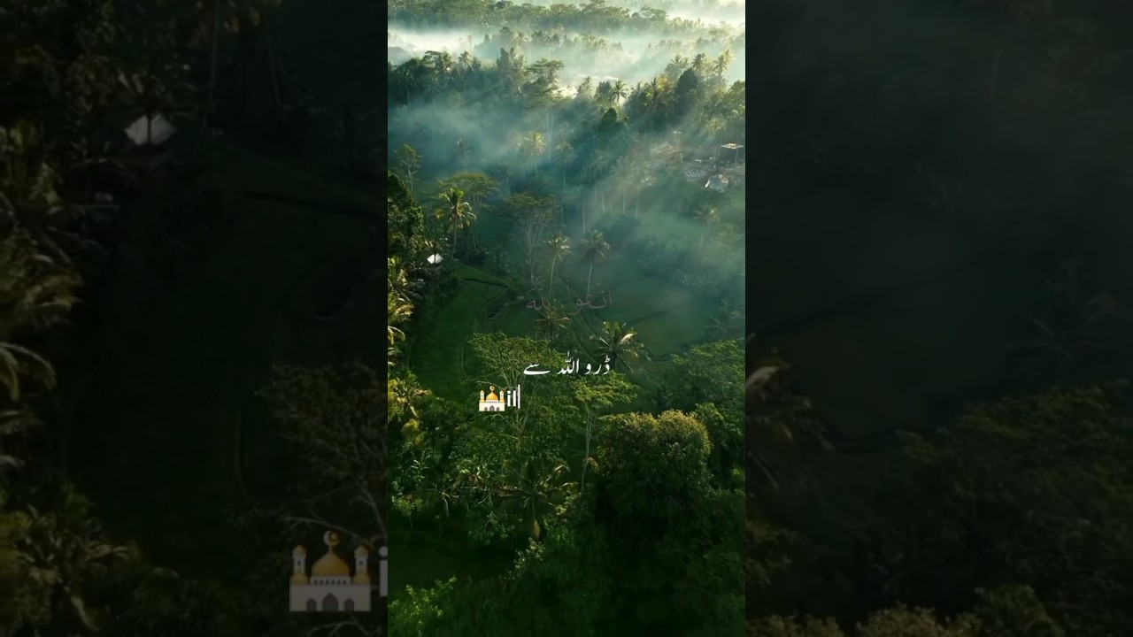 Must Watch Jungle Allah Taala Ki Kudrat ilm ki voice