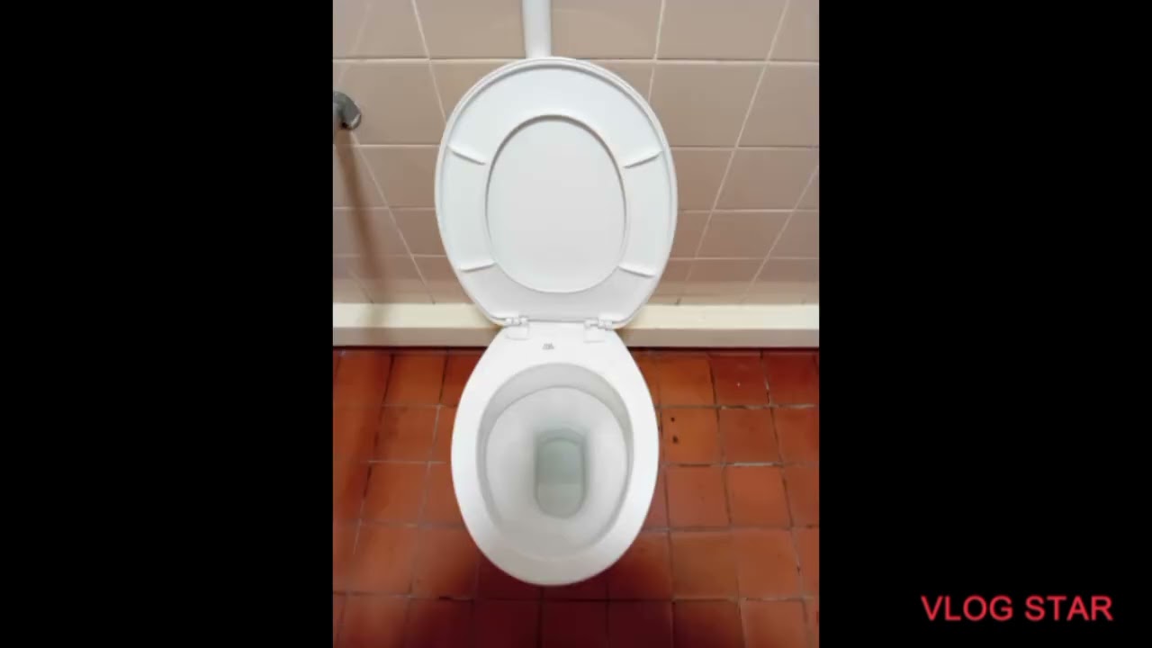 Toilets of the year awards 2025