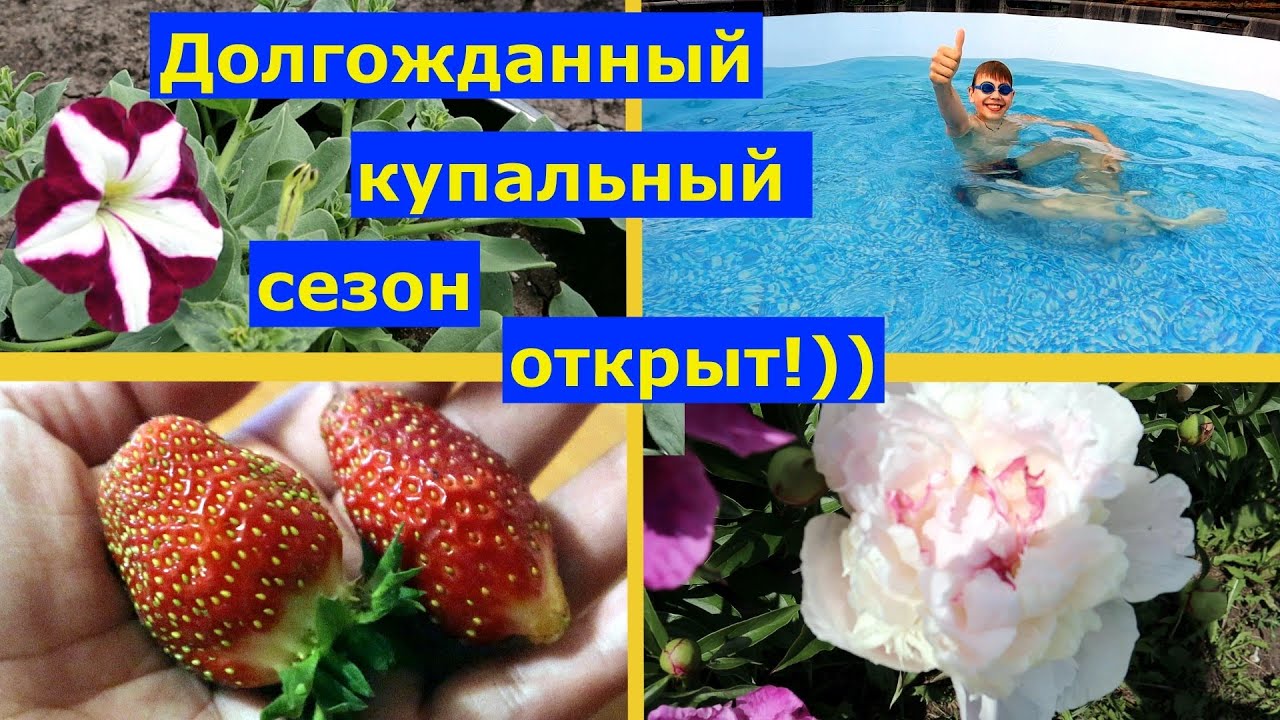 VLOG 16-19.06.2025г. Первые ягоды земляники садовой. Купаемся в бассейне #семья #деревенскаяжизнь 