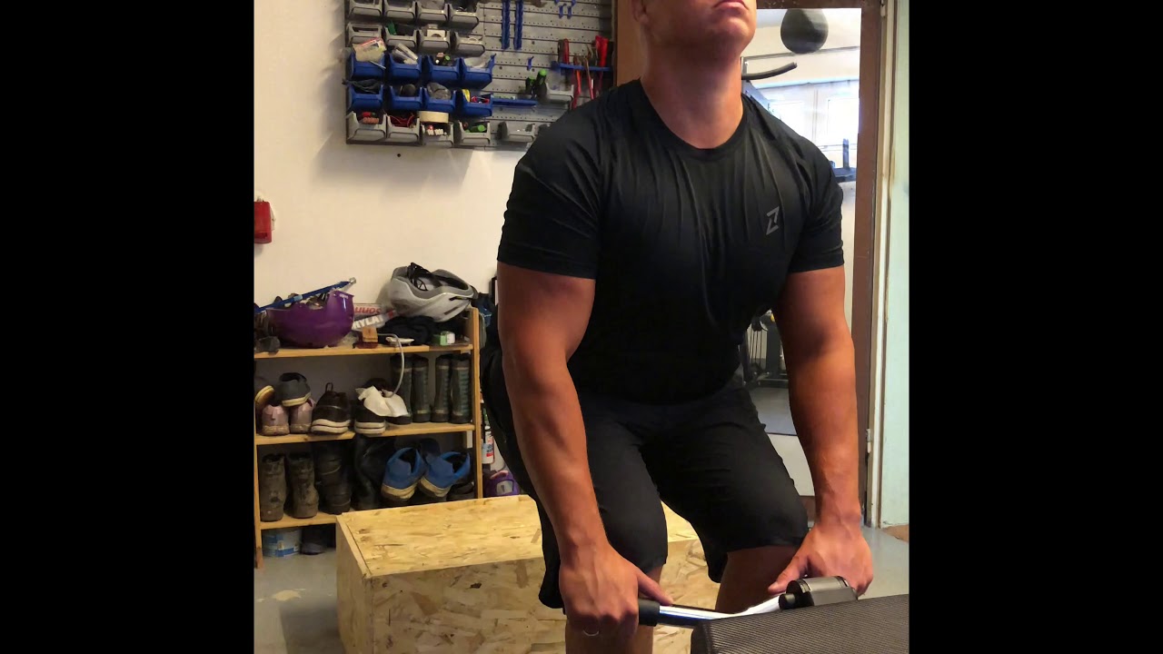 Horizon Fitness Kraftstation Torus 5