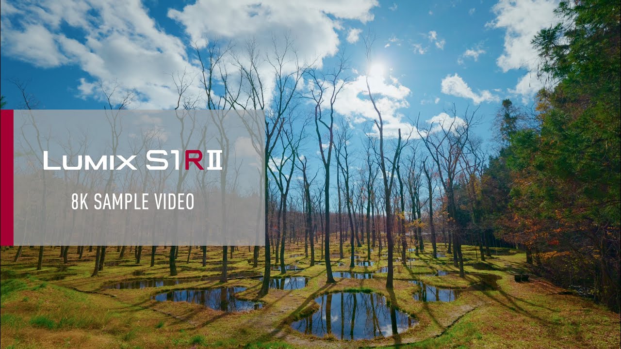 LUMIX S1RII | 8K Sample Video