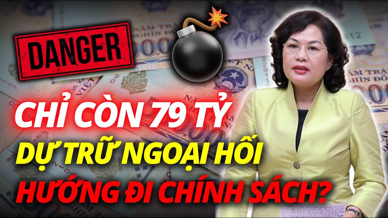 Ván Bạc Kinh Tế Khiến Việt Nam Mất Trắng 30 Tỷ USD Ngoại Hối, Phải Đi Vay Nặng Lãi?