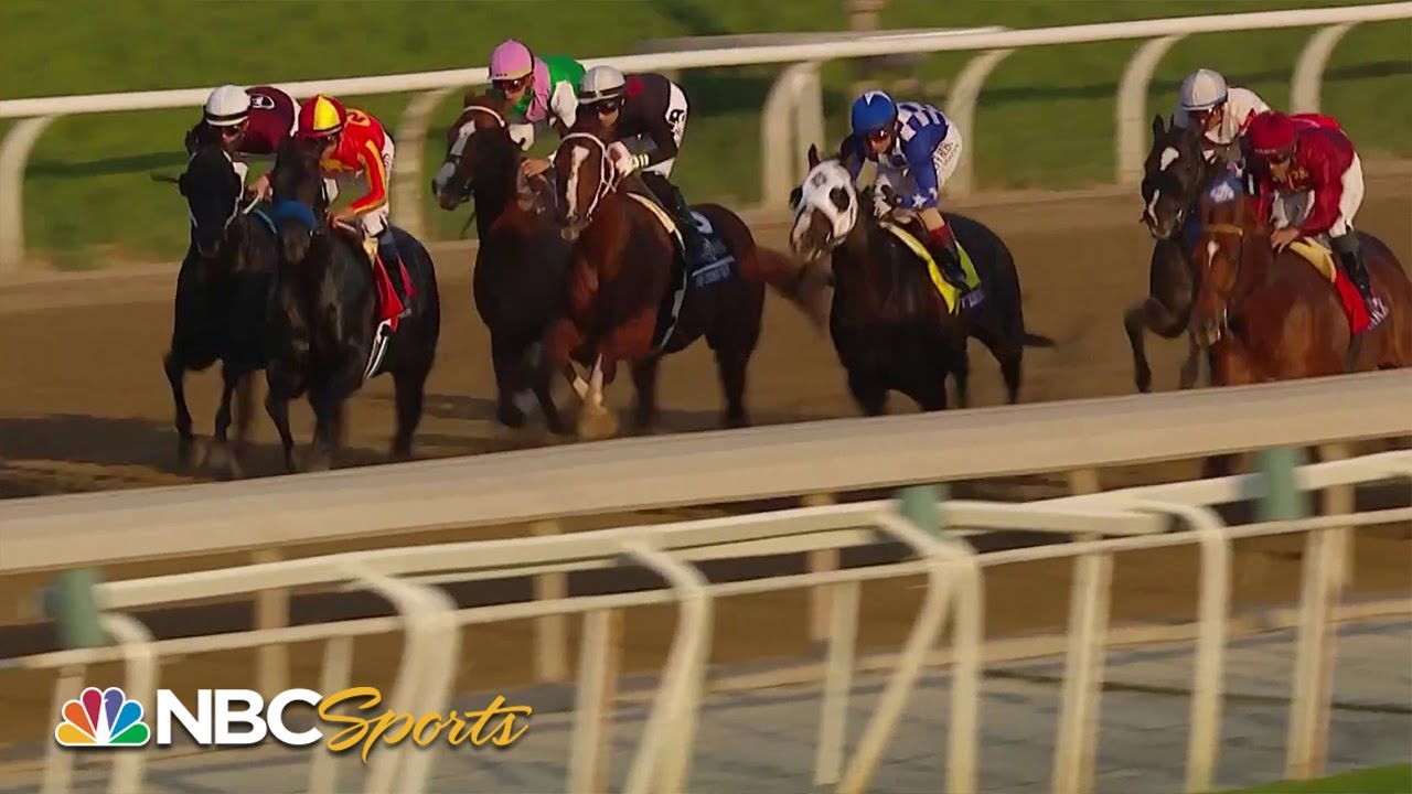 Breeders' Cup 2023: Sprint (FULL RACE) | NBC Sports