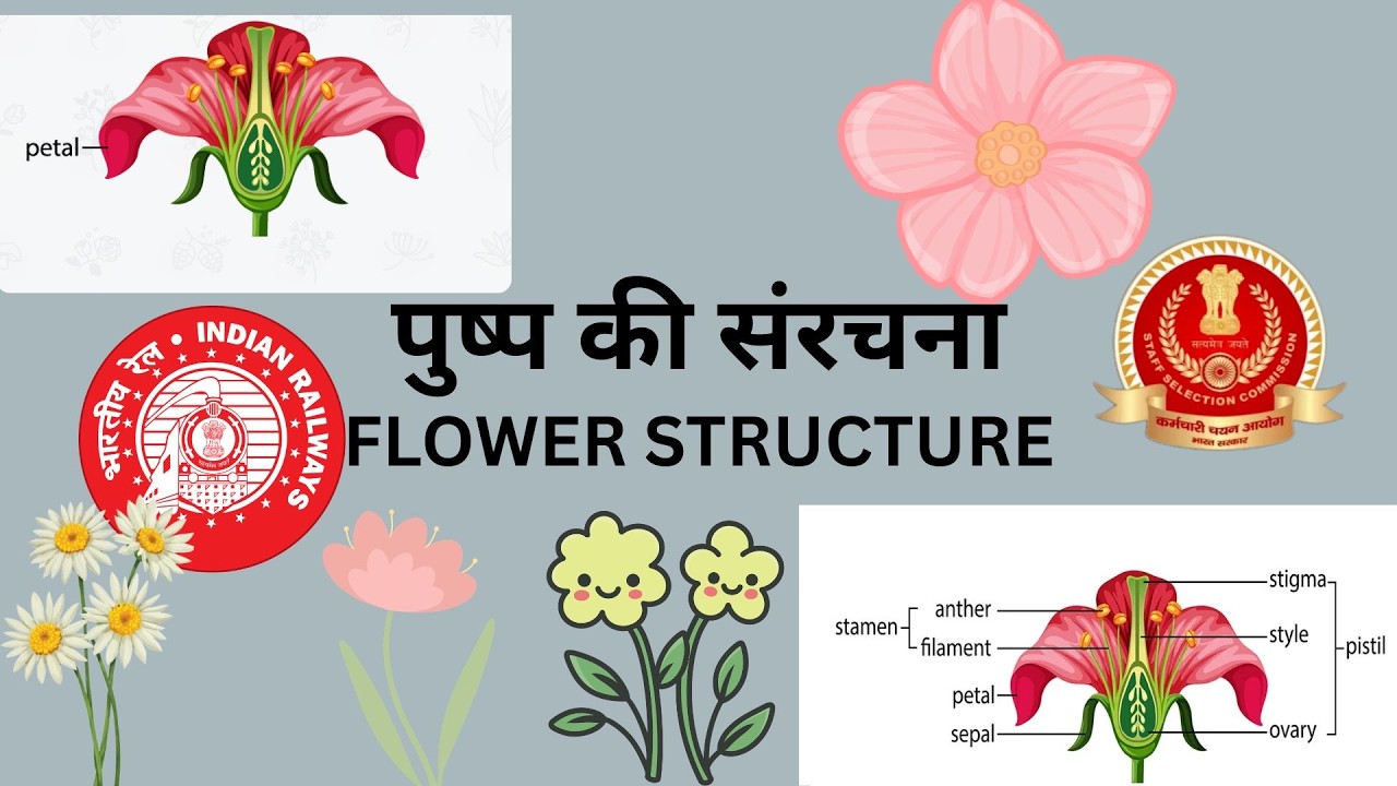 BIOLOGY CLASS : 8 FLOWER MALE AND FEMALE REPRODUCTIVE PART / पुष्प की संरचना | NTPC, SSC, GROUP D