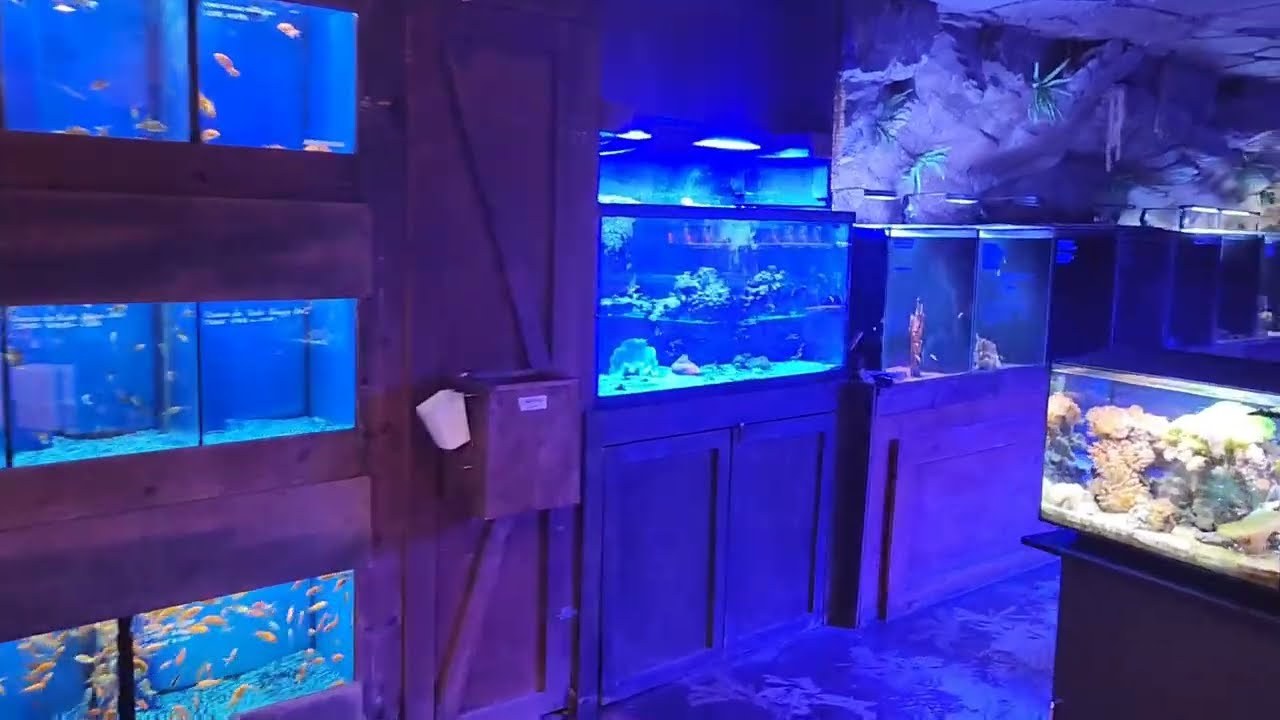 Visite de Safari animalerie du Québec.