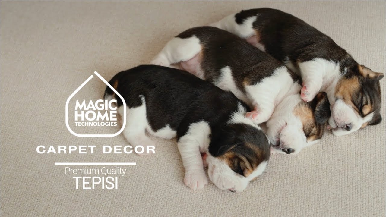 Mara Home - Carpet Decor