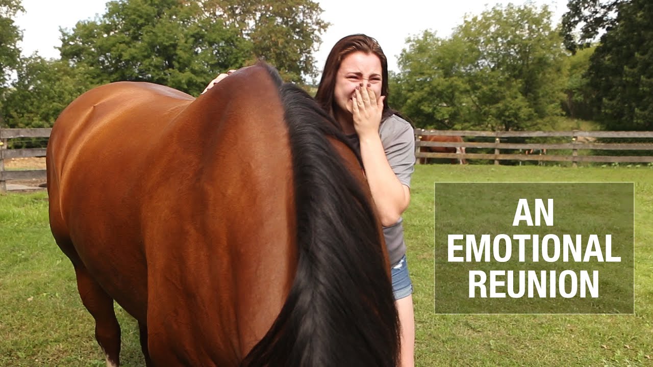 An Emotional Reunion